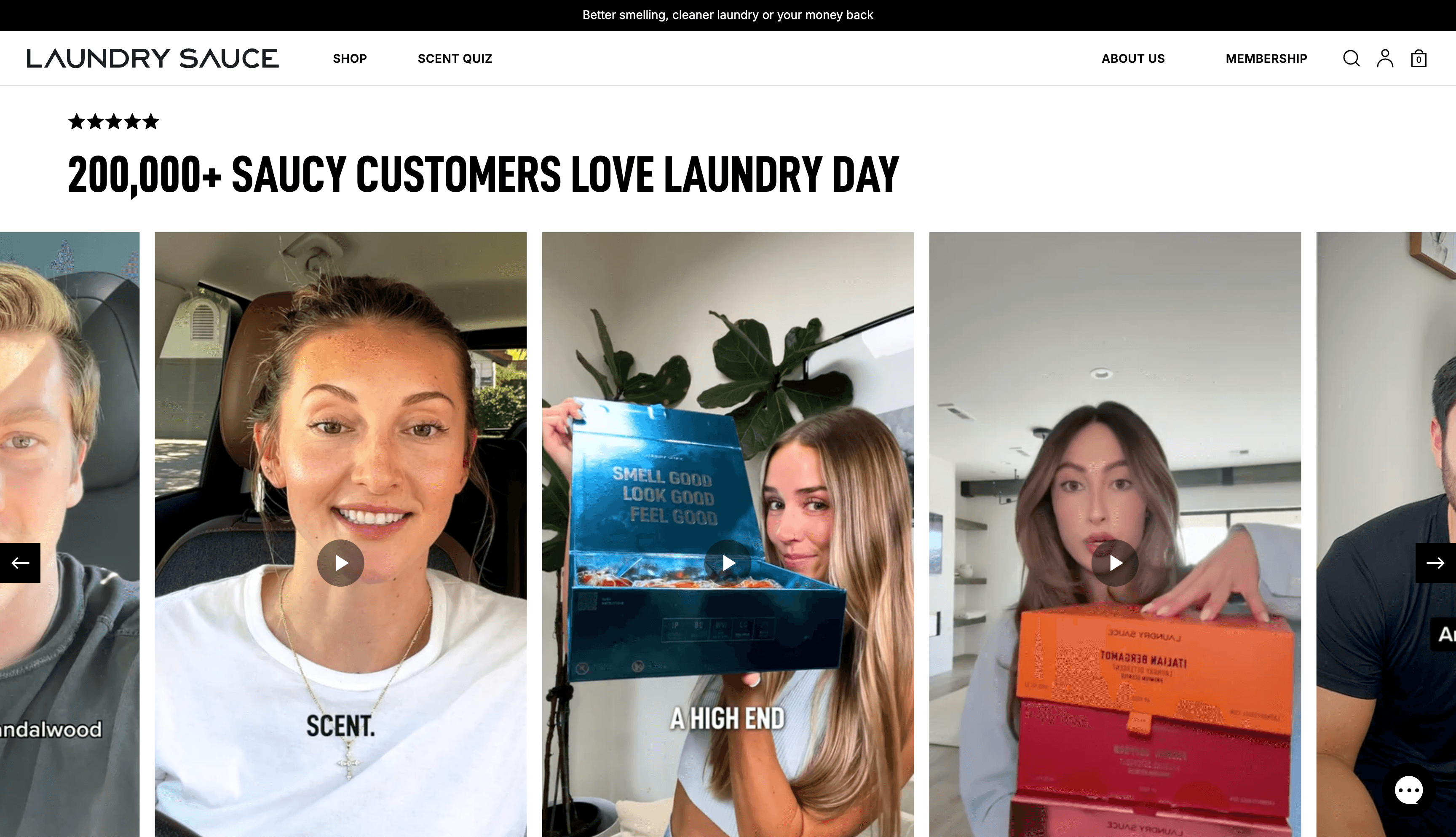 Laundry Sauce detail 4